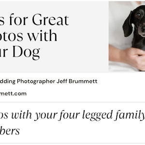 Photography Guide Tips Photos With Dog Pet Portraits Engagement Session Wedding Photographer Education Photo Tips & Tricks Photographer