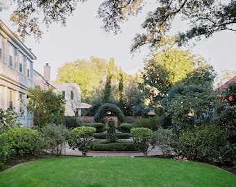 Charleston, South Carolina Garden | Charleston Travel Print | Charleston Landscape Print | Charleston Travel Photography | Charleston Garden