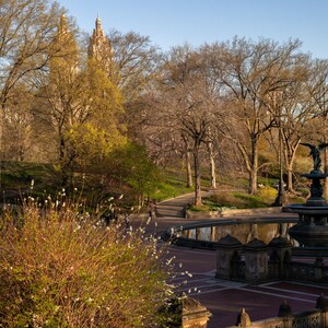 Bethesda Fountain  Central Park @ Sunrise | Central Park NYC Print | New York City Photo | Travel Photography | Landscape Wall Art | Spring