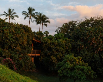 Hotel Wailea Treehouse y puesta de sol en Maui, Hawái, fotografía de bellas artes impresiones de viajes, fotografía de puesta de sol, sunset Wall Art, arte de pared de Hawái