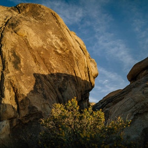 Boulders in Joshua Tree National Park | Southern California Desert | California Travel Photography | Landscape Travel Prints | Scenery | CA