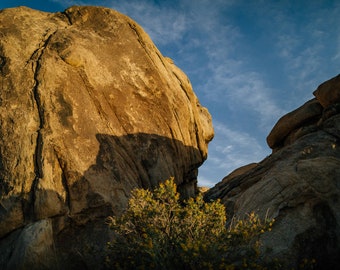 Boulders in Joshua Tree National Park | Southern California Desert | California Travel Photography | Landscape Travel Prints | Scenery | CA