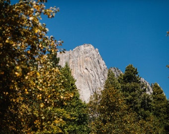El Capitan | Sunny Day in Yosemite Valley | Fall in Yosemite National Park | California Travel | Yosemite Valley View | Yosemite Valley Tree