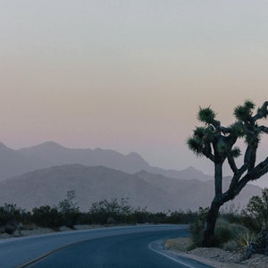 Joshua Tree National Park Sunset | California Sunset | Joshua Tree National Park Travel Print | Sunset in Joshua Tree National Park | CA