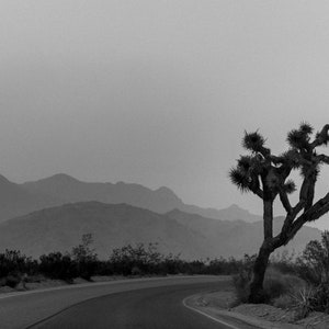Black + White Print of Joshua Tree National Park Sunset | Joshua Tree National Park Travel Print | Sunset in Joshua Tree National Park | CA