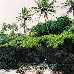 Maui Palm Trees |  Maui Ocean Waves | Rocks in Ocean | Maui, Hawaii | Maui Beach Views | Rocks on Ocean Coastline | Hawaiian Beach Coastline