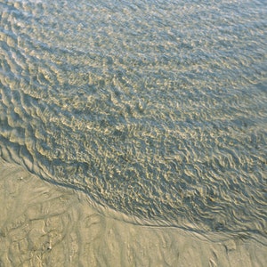 Folly Beach Tide Photographic Print | Beach + Ocean Wall Art | Folly Beach Photographic Print | Folly Beach Tidal Waves over Sand Print | SC
