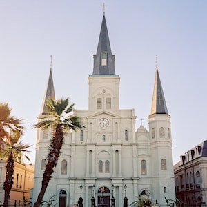 Cathedral-Basilica of Saint Louis | New Orleans Palm Trees | St. Louis Cathedral | Travel Photography Film Prints | Louisiana | NOLA Church
