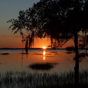 Puede incluir: Una pintoresca puesta de sol sobre un lago en calma, con el sol reflejado en el agua. Árboles y hierbas silueteados enmarcan el cielo naranja y amarillo. La imagen captura un tranquilo paisaje natural.