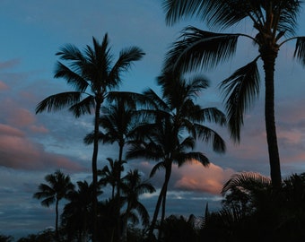 Wailea, Maui, Hawaii Sunset, Fine Art Photography Prints, Travel Photography, Hawaii Photography, Sunset Photography, Travel Wall Art, Maui