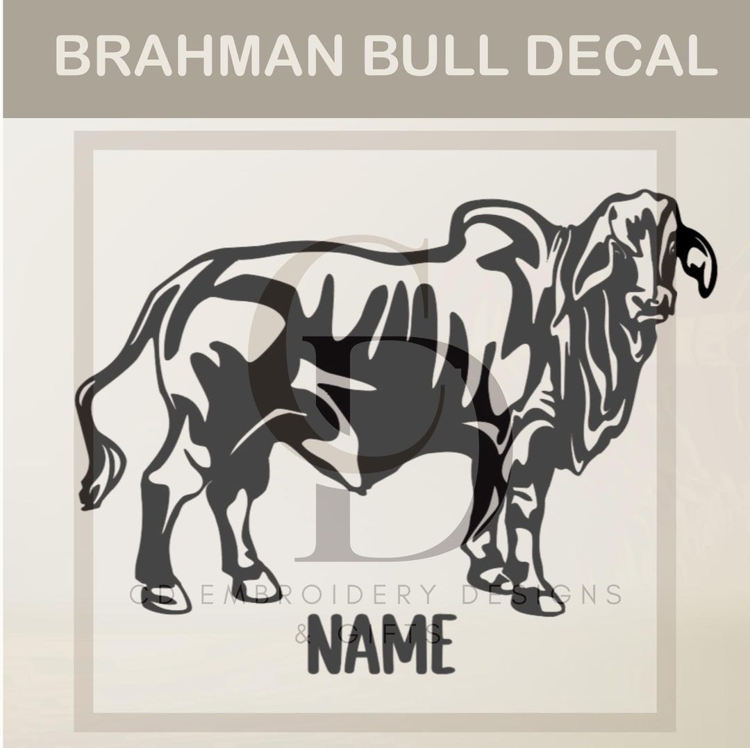 Brahman Cow Decal: Vinyl Livestock Show Car Sticker | Custom Vinyl ...