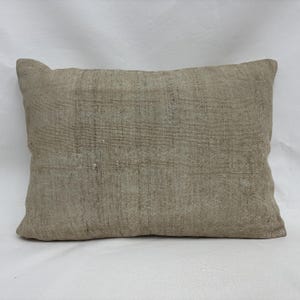 May include: A rectangular, beige-colored pillow with a textured, woven appearance. The pillow has a soft, neutral tone, and is likely made of natural fibers. The pillow is a decorative item for a bed or sofa.