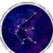 Aquarius Constellation, Printable Poster, Digital Prints, Home Decor ...