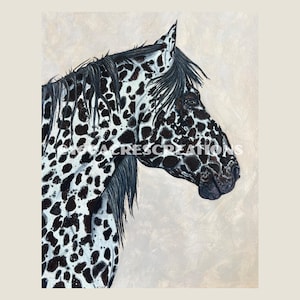 The Spotted Nag - Watercolor mixed media Leopard Appaloosa Horse painting in 11&quot;x14&quot; size