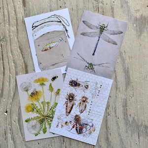 Wunderbare Wildtier Postkarten | 4er Set recycelte Postkarten | Natur Postkarten
