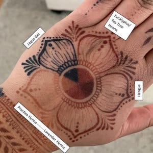 Jagua Henna (Hengua) Bulk Cones 1-10 | Jagua Juice mixed with Henna Powder | Smooth Silky Paste image 4