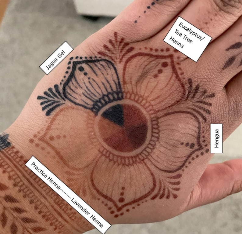 Jagua Henna (Hengua) Bulk Cones 1-10 | Jagua Juice mixed with Henna Powder | Smooth Silky Paste image 4