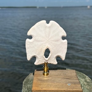Sand Dollar Lamp Finial - Natural sand dollar