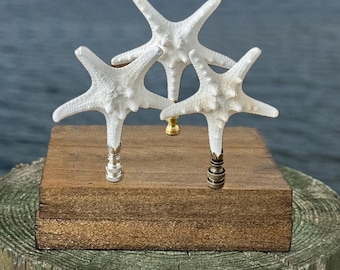 Starfish Lamp Finial - Elegant White Natural starfish