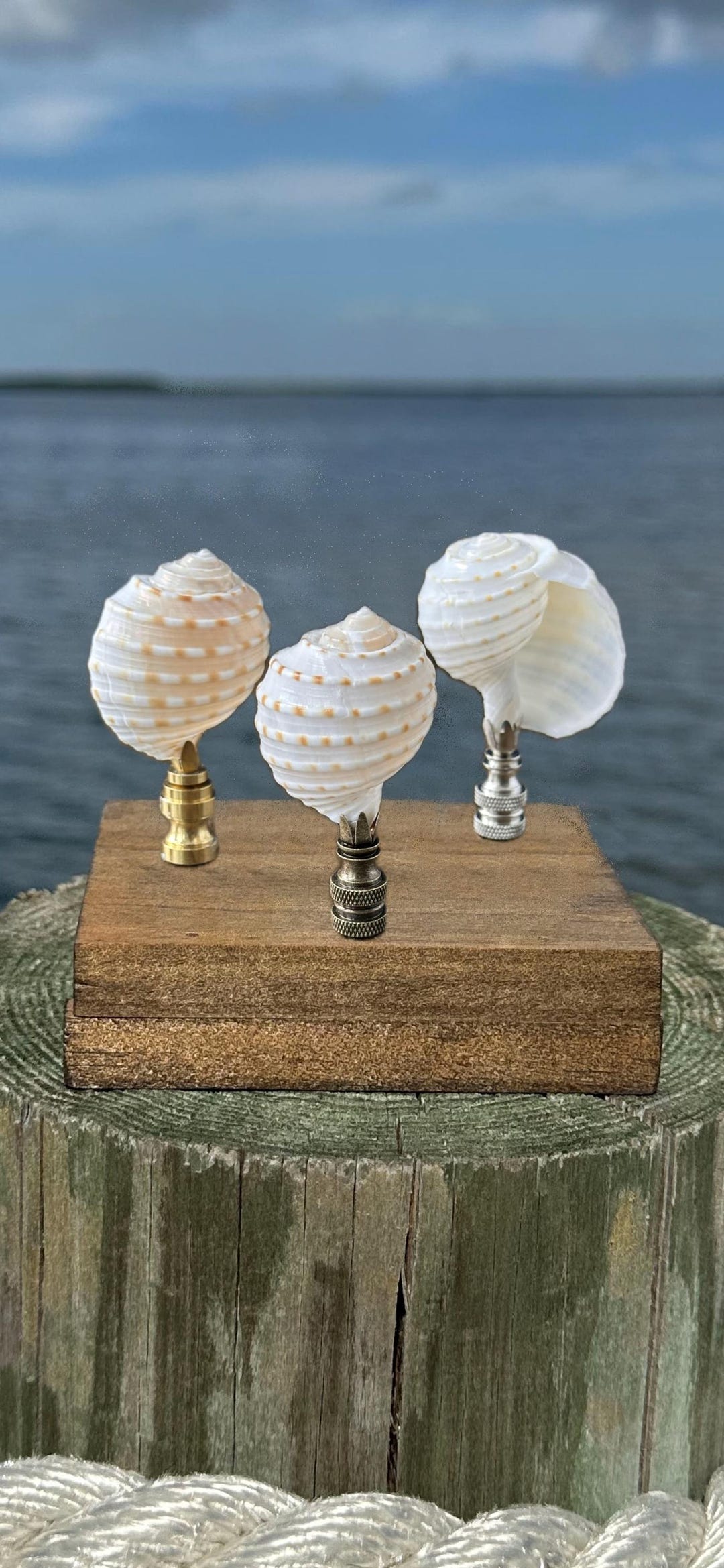 Shells Finials Short White Beige Seashell Lamp Finial - Tropical Elegant Natural Sea ...