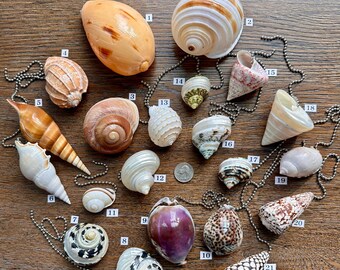 Set of 2- Natural Shell Ceiling Fan Pulls - 21 shells to choose from!