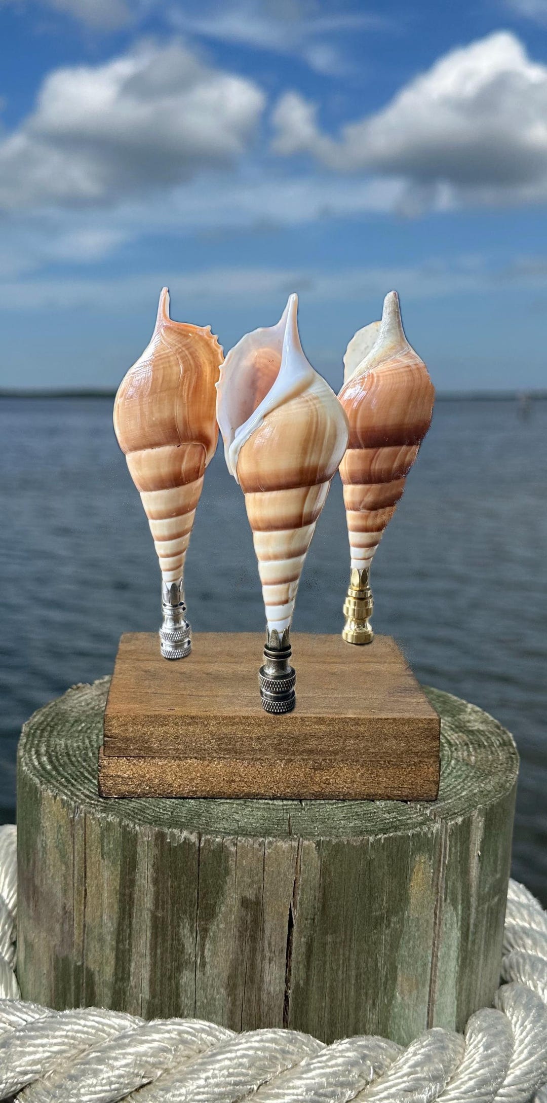Shells Finials Large Tall Tan Seashell Lamp Finial - Tropical Elegant Natural Sea ...