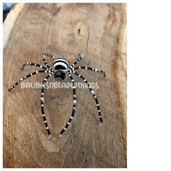 Black Spider With White Stripe