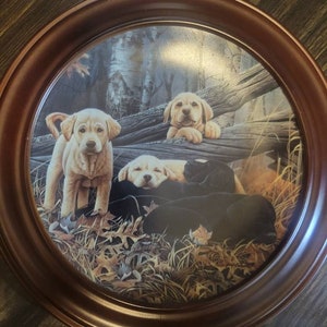 Vintage Labrador Retriever Plate Sweet Dreams Jerry Gadamus Dog Days Bradford Exchange Decor