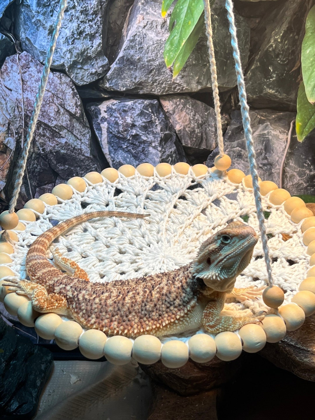 Lizard Reptile Swing / Hammock 10 Etsy