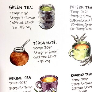 Puede incluir: Ilustraci&oacute;n en acuarela de varios t&eacute;s, incluyendo t&eacute; verde y t&eacute; de hierbas. Cada t&eacute; se representa en su recipiente respectivo, con detalles manuscritos sobre la temperatura, el tiempo de infusi&oacute;n y los niveles de cafe&iacute;na. La imagen es una gu&iacute;a para la preparaci&oacute;n del t&eacute;.
