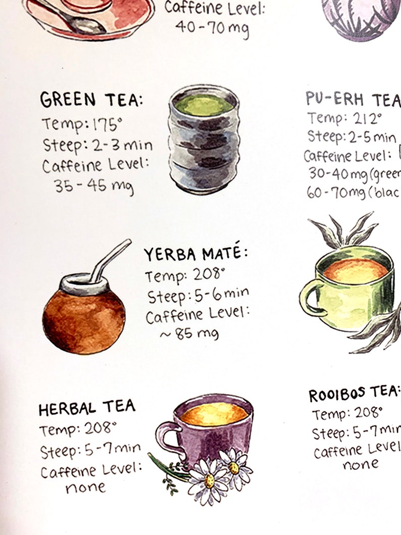 Puede incluir: Ilustraci&oacute;n en acuarela de varios t&eacute;s, incluyendo t&eacute; verde y t&eacute; de hierbas. Cada t&eacute; se representa en su recipiente respectivo, con detalles manuscritos sobre la temperatura, el tiempo de infusi&oacute;n y los niveles de cafe&iacute;na. La imagen es una gu&iacute;a para la preparaci&oacute;n del t&eacute;.