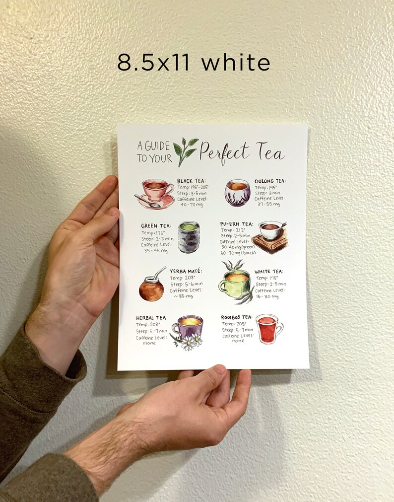 May include: A guide to perfect tea with illustrations of different types of tea, including black, green, white, oolong, pu-erh, yerba mate, herbal, and rooibos. Each tea type is labeled with its temperature, steep time, and caffeine level.