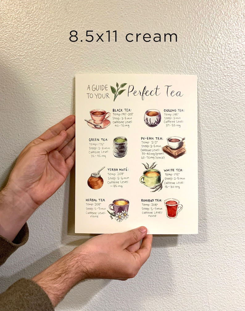 May include: A guide to perfect tea with illustrations of different types of tea, including black, green, herbal, white, oolong, pu-erh, yerba mate, and rooibos. Each tea type is labeled with its temperature, steep time, and caffeine level.