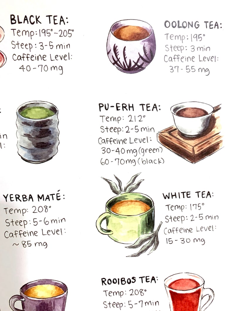 May include: A watercolor illustration of six different types of tea, each with a cup and a description of the tea's brewing temperature, steeping time, and caffeine level. The teas are black, oolong, pu-erh, yerba mate, white, and rooibos.