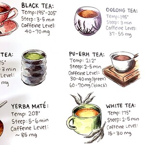 Puede incluir: Ilustraci&oacute;n en acuarela de una gu&iacute;a de t&eacute; con varios tipos de t&eacute;, incluyendo t&eacute; negro, oolong, pu-erh, yerba mat&eacute;, t&eacute; blanco y rooibos. Cada t&eacute; va acompa&ntilde;ado de informaci&oacute;n sobre temperatura, tiempo de infusi&oacute;n y nivel de cafe&iacute;na.