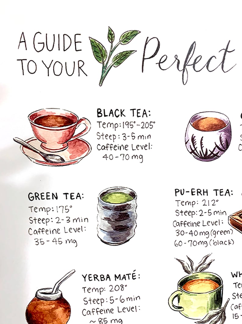 Puede incluir: Ilustraci&oacute;n en acuarela de una gu&iacute;a del t&eacute;, con varios tipos de t&eacute; con instrucciones de preparaci&oacute;n. Incluye t&eacute; negro, t&eacute; verde, yerba mate y t&eacute; pu-erh, con detalles de temperatura, tiempo de infusi&oacute;n y nivel de cafe&iacute;na. El texto dice "A Guide to Your Perfect".
