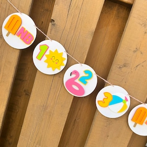 Pool Party Milestone Photo Banner | Pink One in the Sun First Birthday Party Decorations | Bright Pool Party Decor | Summer Birthday