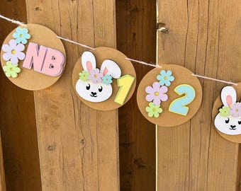 Bunny Monthly Milestone Photo Banner | Some Bunny Is One Birthday Party Decorations | First Birthday Party Supplies | Easter Birthday Decor