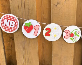 Strawberry Monthly Milestone Photo Banner | Berry First Birthday Party Decorations | Strawberry First Birthday Decor
