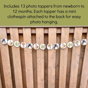 Cowboy Monthly Photo Banner | My First Rodeo Birthday Party Decorations | Milestone Banner | Western Birthday Party Supplies |First Birthday image 3