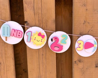 Malibu Pool Party Milestone Photo Banner | One in the Sun First Birthday Party Decorations | Summer Birthday