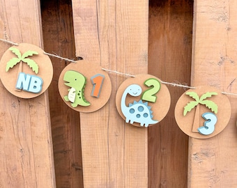 Dinosaur Milestone Photo Banner | Muted DinoFirst Birthday Party Decorations