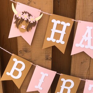 Pink Cow Birthday Party Decorations Set – Banner, Balloons, Cake Topper, Cupcake Toppers, Tablecloth For Farm Theme