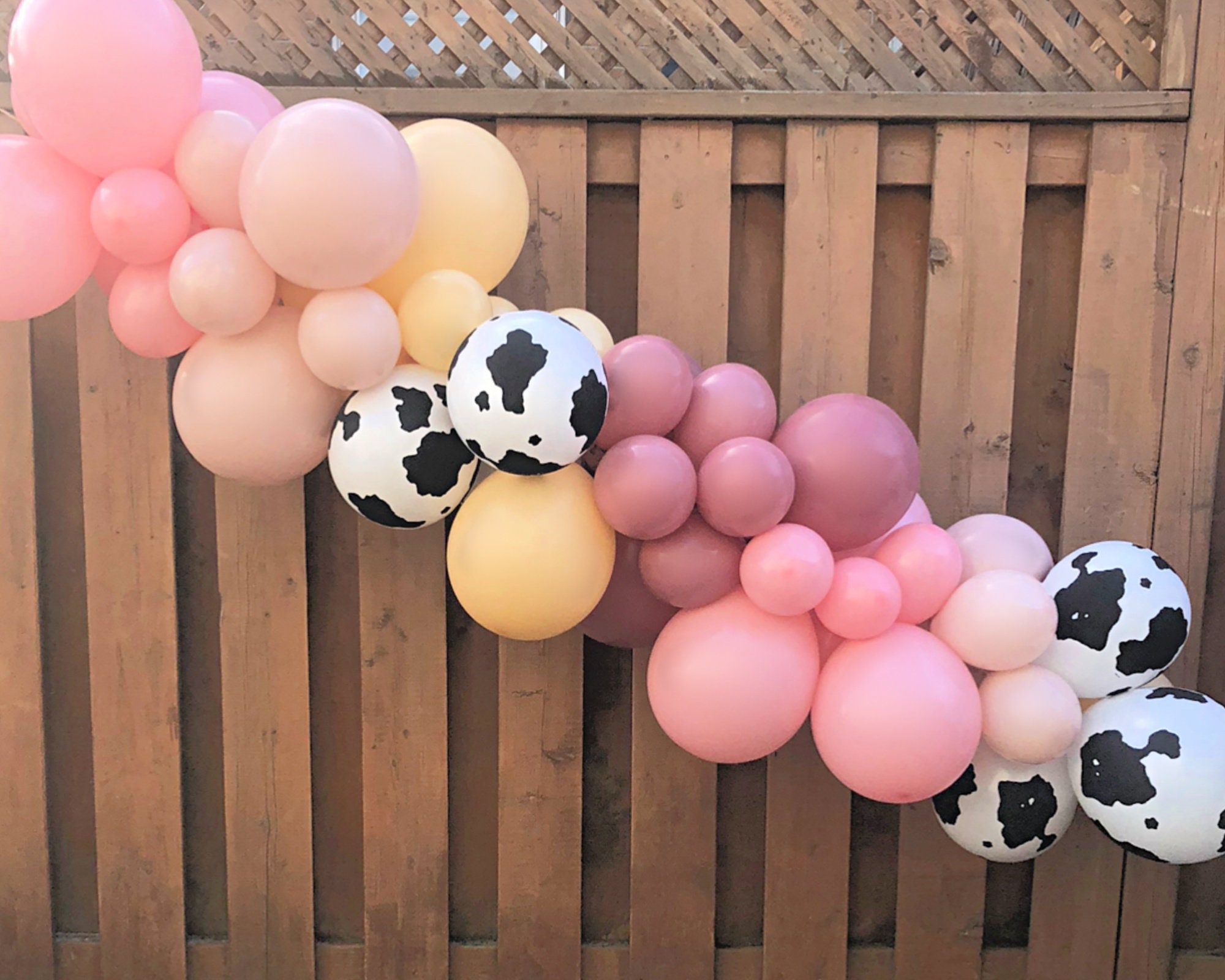 Pink Rodeo Party Pink Cowgirl Balloon Garland | First Rodeo Birthday Party Decorations ...