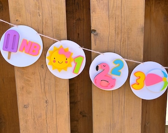 Pool Party Milestone Photo Banner | Pink One in the Sun First Birthday Party Decorations | Bright Pool Party Decor | Summer Birthday