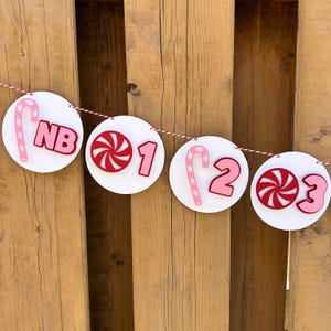 Banner fotográfico mensual de bastón de caramelo rosa / Decoraciones para fiesta de primer cumpleaños navideña / ¡Qué divertido es tener un año! / Invierno de ONEderland