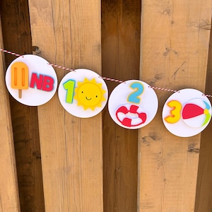 Pool Party Milestone Photo Banner | One in the Sun First Birthday Party Decorations | Bright Pool Party Decor | Summer Birthday