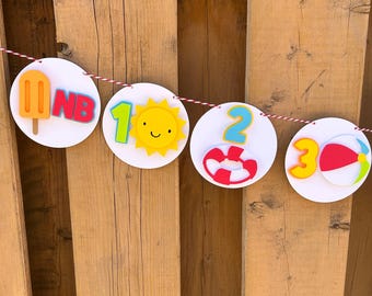 Pool Party Milestone Photo Banner | One in the Sun First Birthday Party Decorations | Bright Pool Party Decor | Summer Birthday