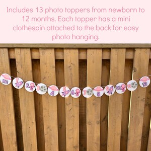 Pink Space Milestone Photo Banner | Girls First Trip Around the Sun Birthday Party Decorations | Outer Space Birthday Party Decor image 2