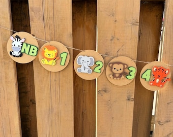 Safari Monthly Milestone Photo Banner | Jungle Birthday Party Decorations | Wild One Party Supplies | Zoo First Birthday